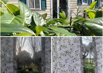 Top Vakantiehuizen | Bed and Breakfast