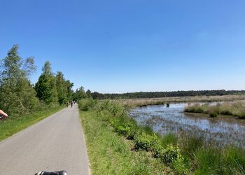 Top Vakantiehuizen | Bed and Breakfast