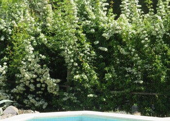 Top Vakantiehuizen | Bed and Breakfast