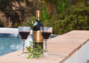Top Vakantiehuizen | Bed and Breakfast