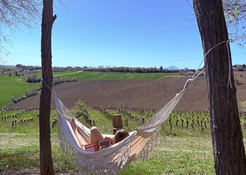 Top Vakantiehuizen | Bed and Breakfast