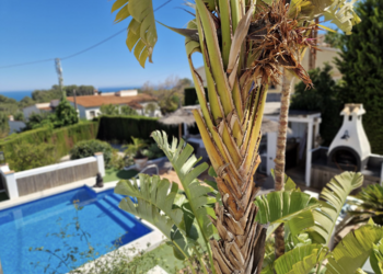 Top Vakantiehuizen | Bed and Breakfast