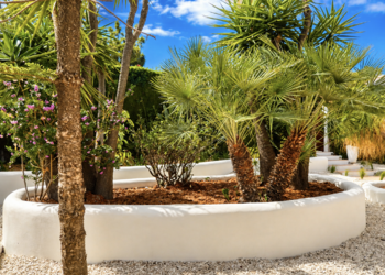 Top Vakantiehuizen | Bed and Breakfast