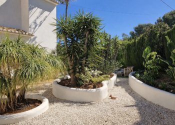 Top Vakantiehuizen | Bed and Breakfast