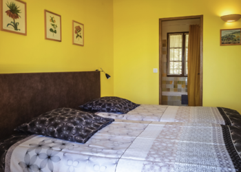 Top Vakantiehuizen | Bed and Breakfast