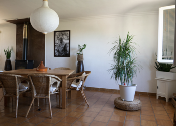 Top Vakantiehuizen | Bed and Breakfast