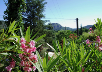 Top Vakantiehuizen | Bed and Breakfast