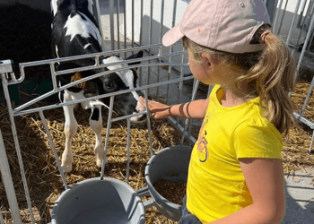 Top Vakantiehuizen | Bed and Breakfast