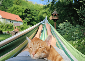 Top Vakantiehuizen | Bed and Breakfast