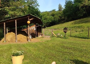 Top Vakantiehuizen | Bed and Breakfast