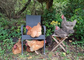 Top Vakantiehuizen | Bed and Breakfast