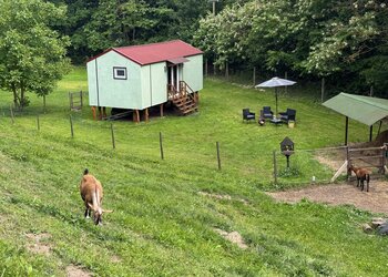 Top Vakantiehuizen | Bed and Breakfast