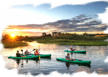 Top Vakantiehuizen | Bed and Breakfast