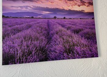 Top Vakantiehuizen | Bed and Breakfast