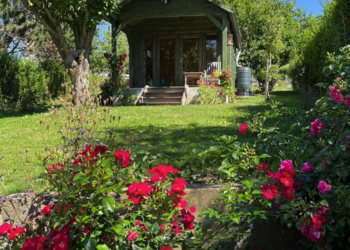 Top Vakantiehuizen | Bed and Breakfast
