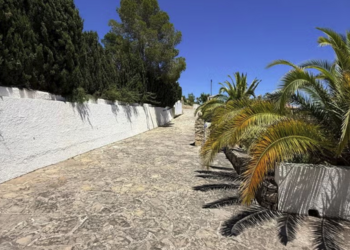 Top Vakantiehuizen | Bed and Breakfast