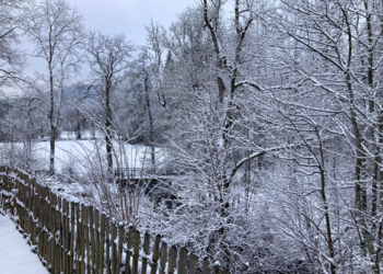 Top Vakantiehuizen | Bed and Breakfast