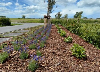 Top Vakantiehuizen | Bed and Breakfast