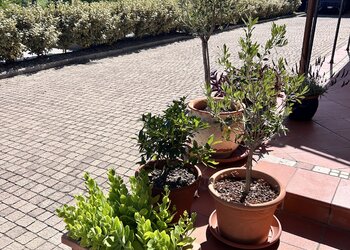 Top Vakantiehuizen | Bed and Breakfast