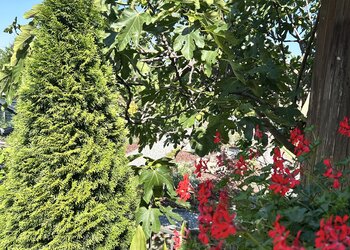 Top Vakantiehuizen | Bed and Breakfast