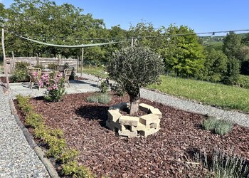 Top Vakantiehuizen | Bed and Breakfast