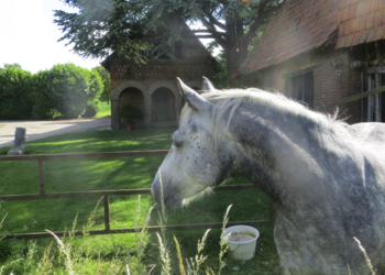 Top Vakantiehuizen | Bed and Breakfast