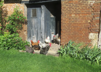 Top Vakantiehuizen | Bed and Breakfast