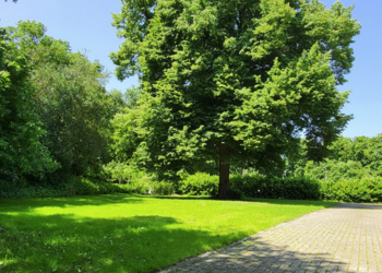 Top Vakantiehuizen | Bed and Breakfast