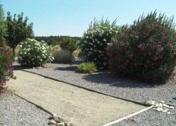 Top Vakantiehuizen | Bed and Breakfast