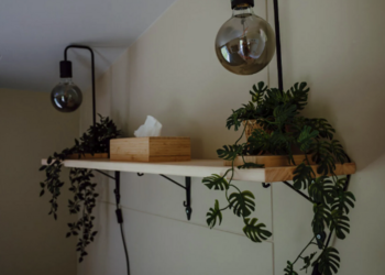 Top Vakantiehuizen | Bed and Breakfast