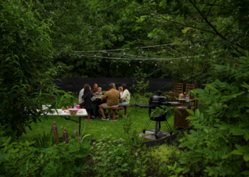 Top Vakantiehuizen | Bed and Breakfast