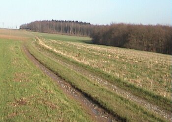 Top Vakantiehuizen | Bed and Breakfast