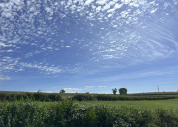 Top Vakantiehuizen | Bed and Breakfast