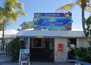 Top Vakantiehuizen | Bed and Breakfast