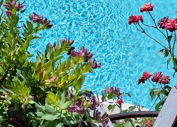 Top Vakantiehuizen | Bed and Breakfast