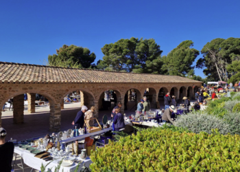 Top Vakantiehuizen | Bed and Breakfast