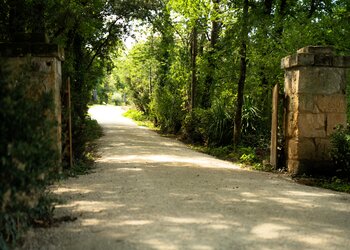 Top Vakantiehuizen | Bed and Breakfast