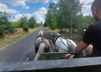 Top Vakantiehuizen | Bed and Breakfast
