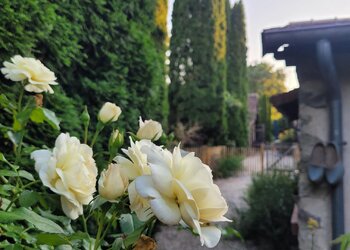 Top Vakantiehuizen | Bed and Breakfast