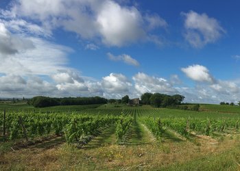 Top Vakantiehuizen | Bed and Breakfast