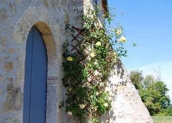 Top Vakantiehuizen | Bed and Breakfast