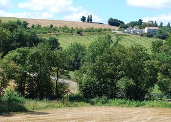 Top Vakantiehuizen | Bed and Breakfast