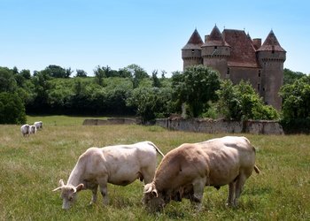 Top Vakantiehuizen | Bed and Breakfast