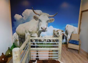 Top Vakantiehuizen | Bed and Breakfast