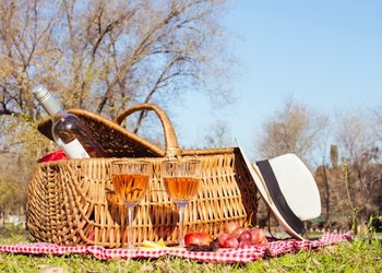Top Vakantiehuizen | Bed and Breakfast