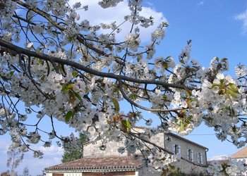 Top Vakantiehuizen | Bed and Breakfast
