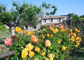 Top Vakantiehuizen | Bed and Breakfast