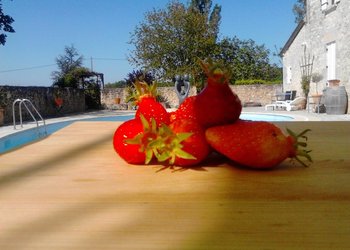 Top Vakantiehuizen | Bed and Breakfast