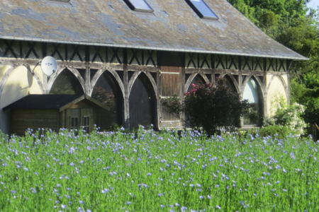 Top Holiday Homes | Bed and breakfast