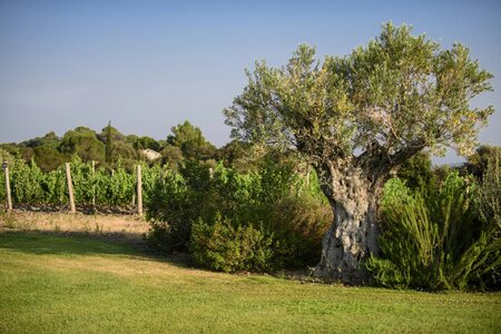 Meilleures maisons de vacances | Lit et petit déjeuné